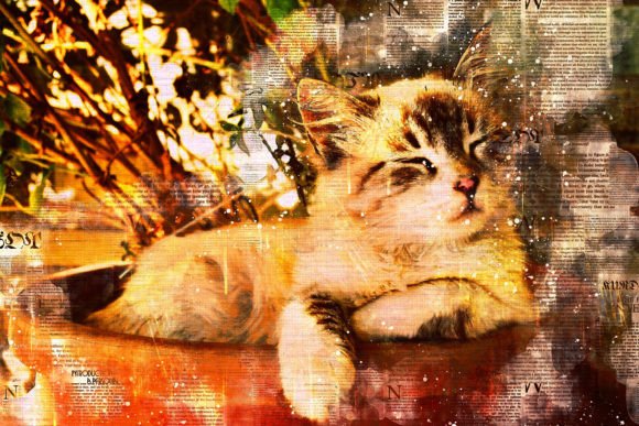 Download Printable Cat Graphics Pack# 12 - Cat graphics Collection