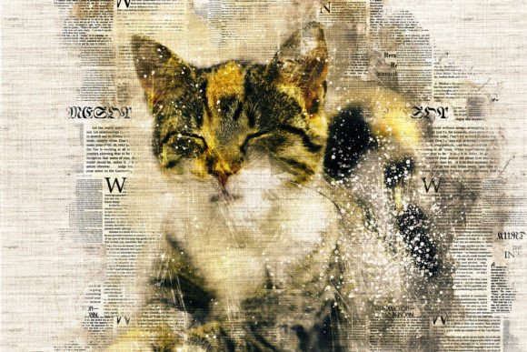 Download Printable Cat Graphics Pack# 01 - Cat graphics Collection