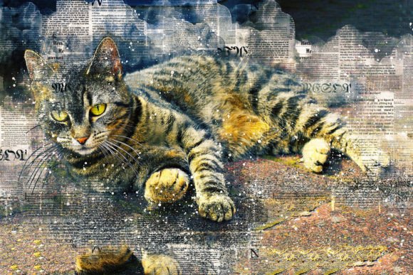 Download Printable Cat Graphics Pack# 05 - Cat graphics Collection